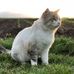 Barbara Fleming - Facebook
