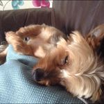 Barbara Fleming - @barbara_fleming - Instagram