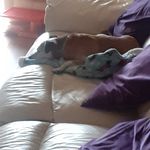 Barbara Fletcher - @barbara.fletcher.129 - Instagram