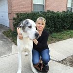 Barbara Flint - @brtflint - Instagram