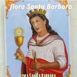 Flora Santa Barbara - @barbara.florasanta - Instagram