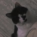 Barbara Florence da Silva - @barb.silv21 - Instagram