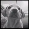 Barbara - @barbaraflorio - TikTok