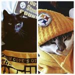 Barbara Florio Gustafson - @evnflo2000 - Instagram