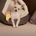 Barb Fluker-dousselaere - Facebook