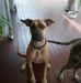 Barbara Folpp - Facebook