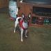 Barb Folk - Facebook