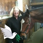 Barbara Fontaine - @batbillington - Instagram