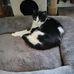 Barbara Foote - Facebook