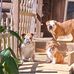 Barbara Foree - Facebook