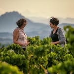 Celler Bàrbara Forés - @cellerbarbarafores - Instagram