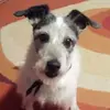 barbaraforestier7 - @barbaraforestier7 - TikTok