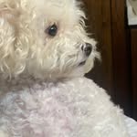 barbara forner - @forner.barbara - Instagram