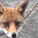 Barbara Forster - @barbara.forster.798 - Instagram
