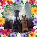 Barbara Forster - Facebook