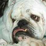 Barbara Forster - @barbara.forster.35 - Instagram