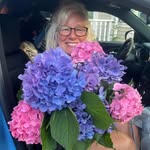 Barbara Forster Mensack - @barbmensack - Instagram