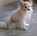 Barbara J Fort - Facebook