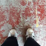 Barbara Foti - @barbara.foti.tour - Instagram