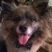 Barbara Friedrich - Facebook