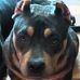 Barbara Friel - Facebook