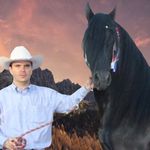 Frisones Santa Barbara - @frisones_santa_barbara - Instagram