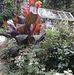 Barbara Frith - Facebook