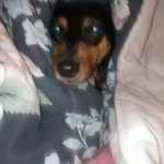 Barbara Fuchs - @brbrhack - Instagram