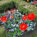Barbara Fuchs - @barbarafuchs60 - Instagram