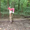 barbarafuchs323 - @g.d.v.c - TikTok