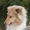 Barbara Fuk-stój - @barbara.fukstj - TikTok