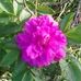 Barbara Fullem - Facebook