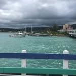 Barbara Fuller - @bf0i2020 - Instagram