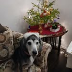 Barbara Fuller - @barbara.fuller.7543 - Instagram