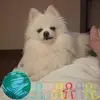 Barbara Funk - @barbara.funk4 - TikTok