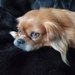 Barbara Funk - @bellas.mom - Instagram