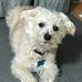 Barbara Funk - Facebook