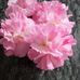 Barbara Fennell - Facebook