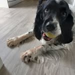 Barbara Funnell - @barbarafunnell15 - Instagram