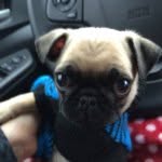 Barbara Funston - @coolnana0816 - Instagram