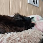 Barbara Füssler - @fusslerbarbara - Instagram