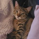 Barbara Fyock - @barb.arafyock - Instagram