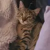 Barbara Fyock - @barbara.fyock - TikTok