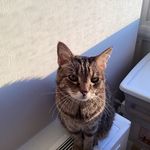 Barbara gabor - @beegabor - Instagram