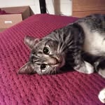 Barbara Gail - @barbara.gail.96 - Instagram
