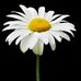 Barbara Gail - Facebook