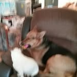 Barbara Gail James - @glames132 - Instagram