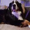 Barbara - @barbaragaillard5 - TikTok