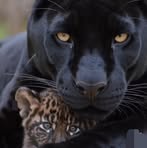Barbara Gaillard - Facebook