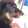 barbaragaioni0 - @barbaragaioni0 - TikTok